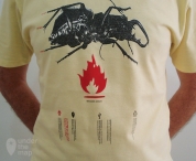Massive Attack