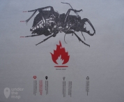 Massive Attack